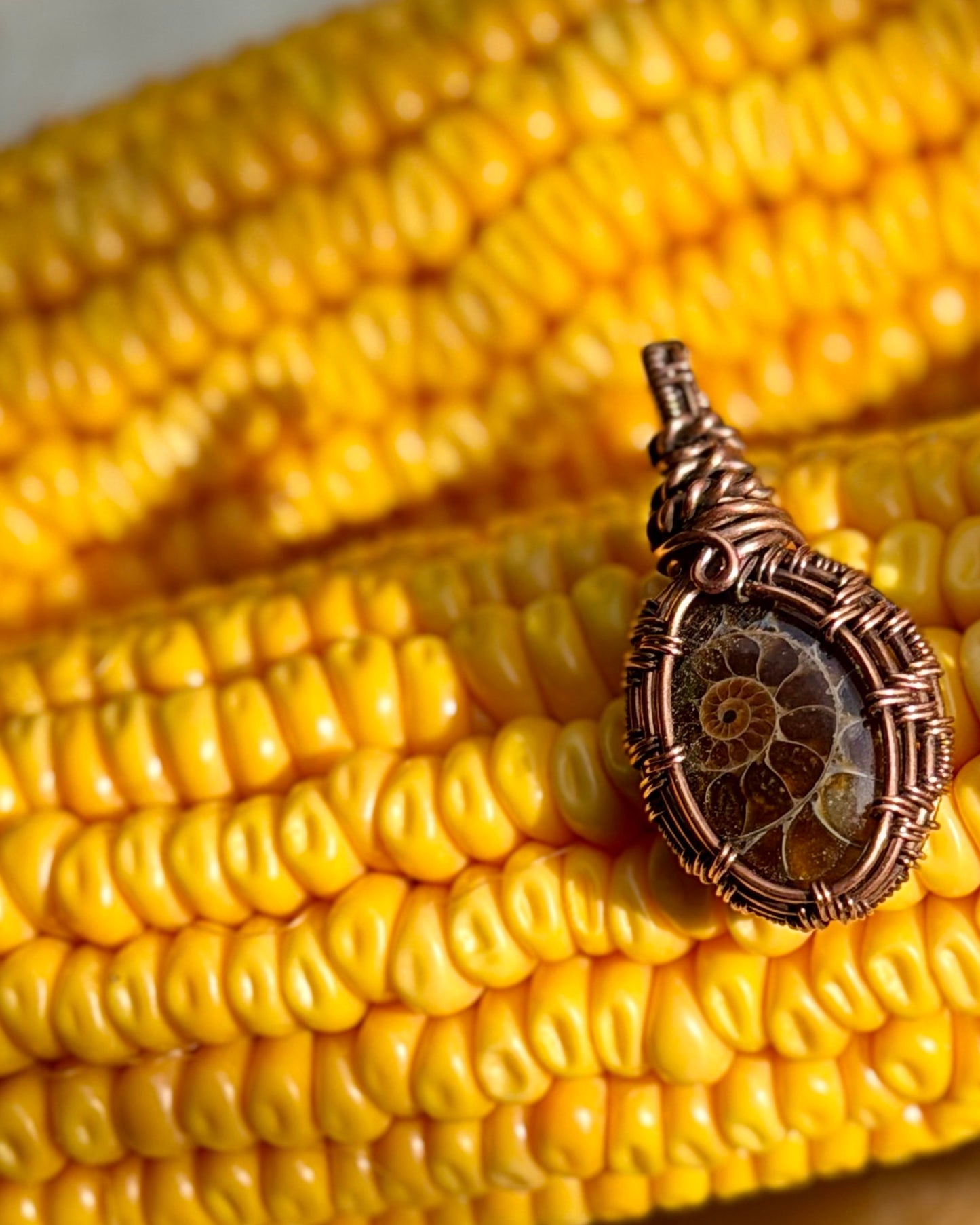 Ammonit fossil pendant