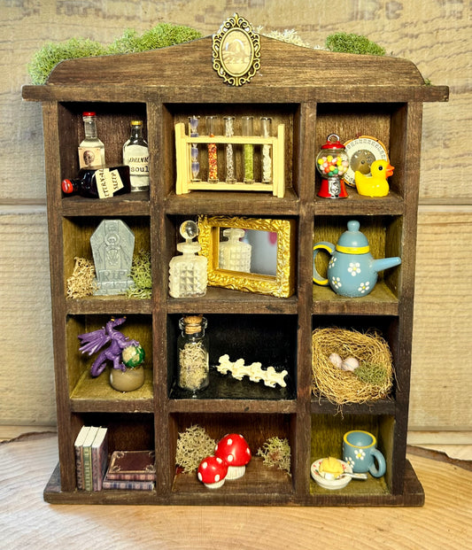 A Fairy’s Findings