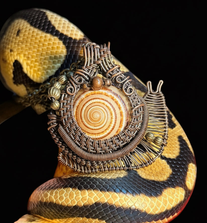 Snail
