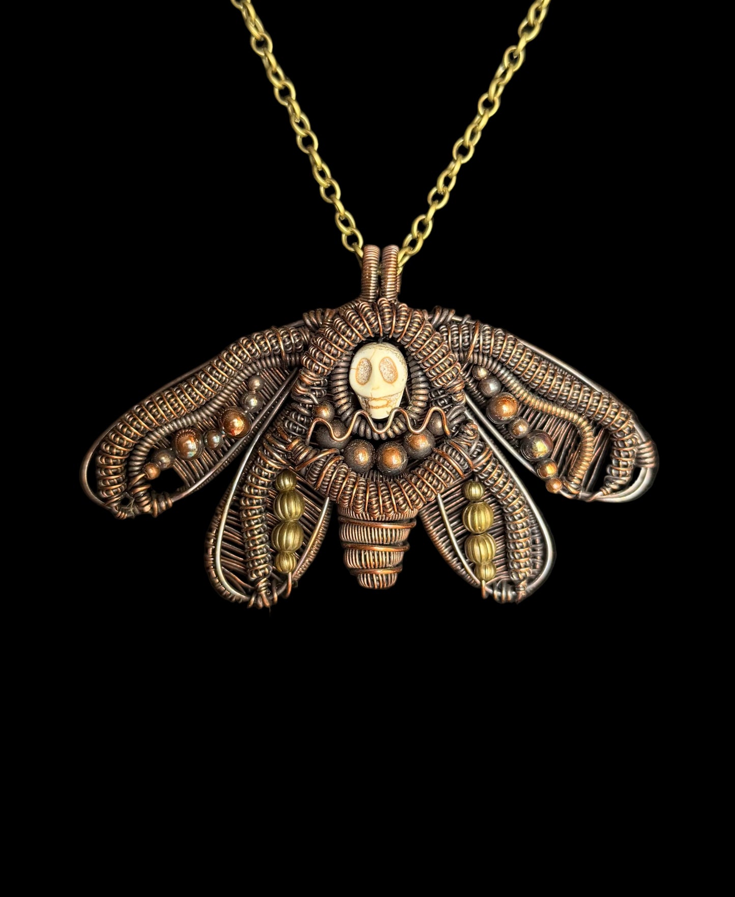 Hawkmoth