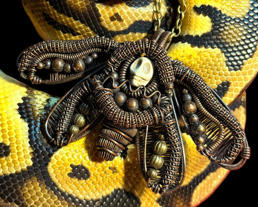 Hawkmoth