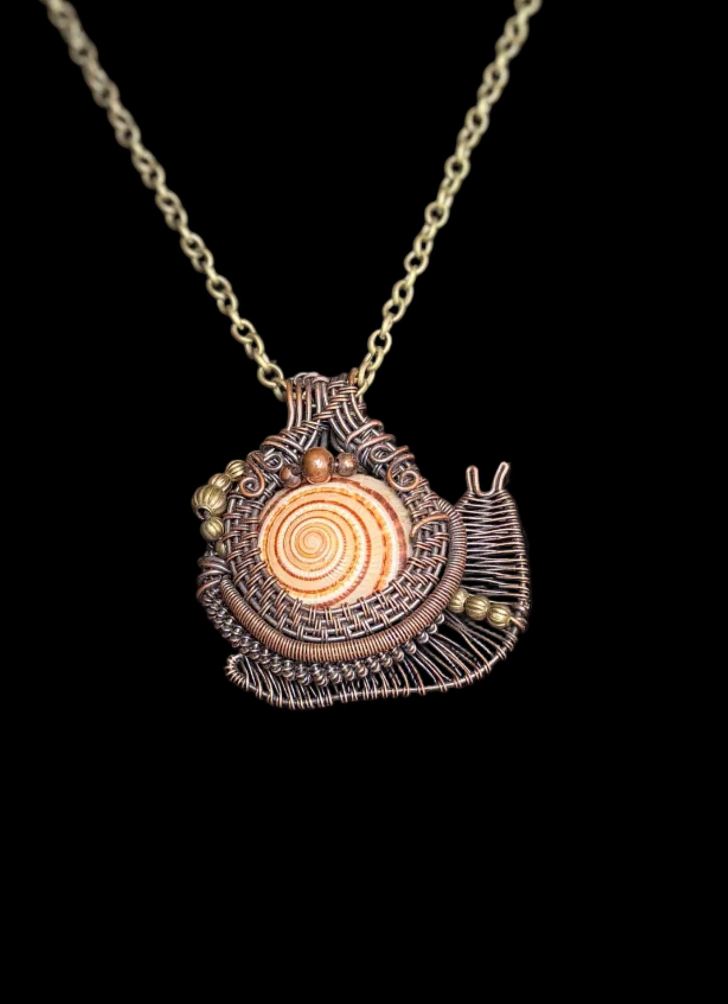 Snail