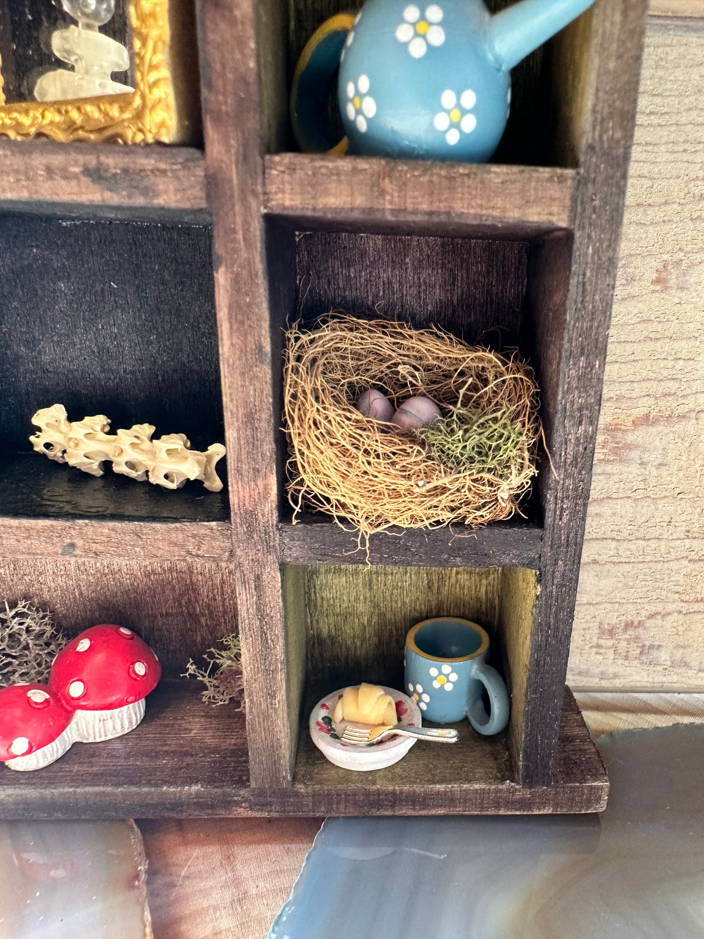 A Fairy’s Findings